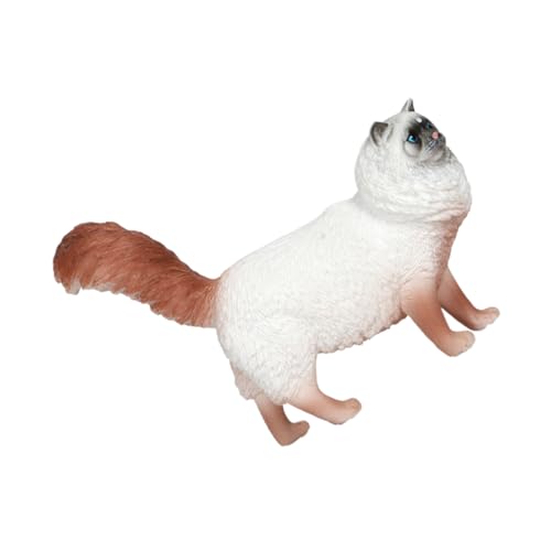HEALLILY Realistisches Katzenmodell aus Langlebigem Kunststoff Kindgerechtes Lernspielzeug und Dekorative Katzenfigur für Haus und Detailgetreues Design Sicher und Vielseitig Einsetzbar HEALLILY Realistisches Katzenmodell aus Langlebigem Kunststoff Kindgerechtes Lernspielzeug und Dekorative Katzenfigur für Haus und Detailgetreues Design Sicher und Vielseitig Einsetzbar von HEALLILY