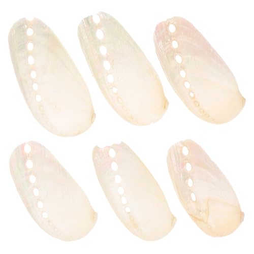 HEALSOPTHY 6 Stück Teiliges Abalone Muschel Perlmutt Dekoration Strandhochzeit Handwerksornament Aquarium Meeresschalen für Zuhause und Party von HEALSOPTHY
