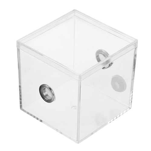 HEALSOPTHY Kleines Transparentes Insektengehege für Grillen und Spinnen Hochtransparentes Reptilien Lebensraum Terrarium für Insektenbeobachtung und Futterbox von HEALSOPTHY