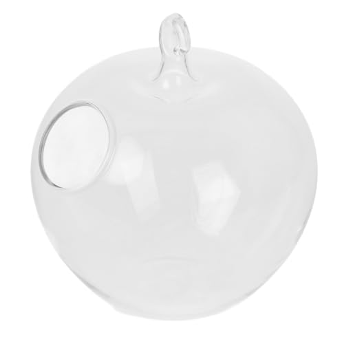 HEATSHAKING Apfel Förmiger Glasfischtank Transparentes Terrarium für Hydroponische Pflanzen Kreative Tischdeko für Büro und Zuhause Beruhigende Luftverbesserung Einzigartiges Design für HEATSHAKING Apfel Förmiger Glasfischtank Transparentes Terrarium für Hydroponische Pflanzen Kreative Tischdeko für Büro und Zuhause Beruhigende Luftverbesserung Einzigartiges Design für von HEATSHAKING