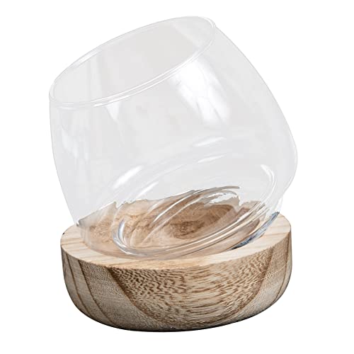 HEATSHAKING Micro Landschafts Vase Holzuntersetzer Mini Pflanzgefäß für Aquarien Tischdeko und Kreative Innendekoration für Wohnzimmer Schlafzimmer und Cafés von HEATSHAKING