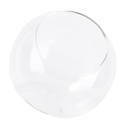 HEATSHAKING Mini Kugelförmiges Terrarium Glasflasche Rundes DIY Micro Landschaft Behälter Dekoratives Pflanzglas für Mikro Landschaften und Miniatur Ornamente Langlebig und Kompakt von HEATSHAKING