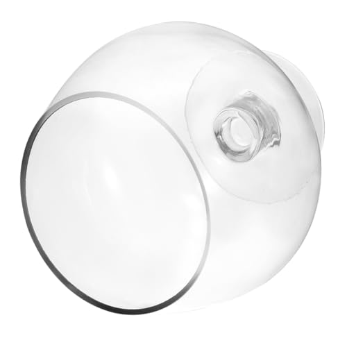 HEATSHAKING Transparente Glasfischschale für Schreibtischdekoration Kleiner Aquarium Tank für Betta Fische Vielseitig Einsetzbar Blumenvase oder Weinglas Pflegeleicht HEATSHAKING Transparente Glasfischschale für Schreibtischdekoration Kleiner Aquarium Tank für Betta Fische Vielseitig Einsetzbar Blumenvase oder Weinglas Pflegeleicht von HEATSHAKING