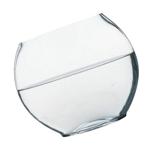 HEATSHAKING Transparentes Aquarium mit Pflanzenvase Multifunktionale Dekoration für Blumen Mikrolandschaft und Wasserpflanzen Design für Schreibtisch und Zuhause für Freunde von HEATSHAKING