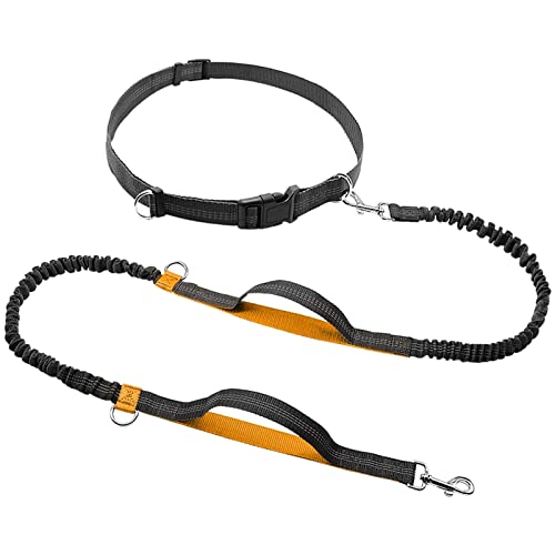 Hundeleine Hunde -Leine Einziehbares Bungee -Leine -Blei Reflektiert, DASS er bis zu 150 Pfund großer Hunde Bagspender Laufen läuft Haustier Leinen (Color : Orange, Size : A) von HEBBES