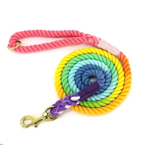 Hundeleine Nylon Hunde Leine Gradientenfarbe Farbe Haustierkabelblei for Hunde Welpe Walking Lauftraining Leine Gurtgürtel Baumwolltraktionseil Seil Haustier Leinen (Color : Colorful, Size : 6ft) von HEBBES