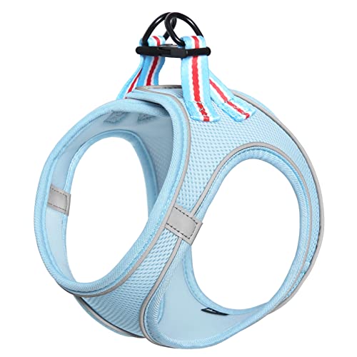 HEELE Geschirr Hund Klein Weich Hunde Geschirr Air Mesh Verstellbar Sicher Kontrolle Welpengeschirr Weste Hunde Brustgeschirr für Gehen, Laufen, Training, Reflektierend, Blau, XS HEELE Geschirr Hund Klein Weich Hunde Geschirr Air Mesh Verstellbar Sicher Kontrolle Welpengeschirr Weste Hunde Brustgeschirr für Gehen, Laufen, Training, Reflektierend, Blau, XS von HEELE