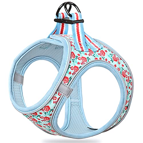 HEELE Geschirr Hund Klein Weich Hunde Geschirr Air Mesh Verstellbar Sicher Kontrolle Welpengeschirr Weste Hunde Brustgeschirr für Gehen, Laufen, Training, Reflektierend, Blume Cyan, XS HEELE Geschirr Hund Klein Weich Hunde Geschirr Air Mesh Verstellbar Sicher Kontrolle Welpengeschirr Weste Hunde Brustgeschirr für Gehen, Laufen, Training, Reflektierend, Blume Cyan, XS von HEELE