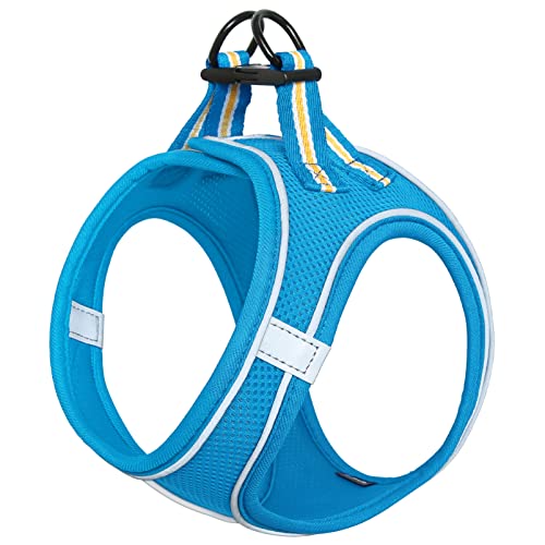 HEELE Geschirr Hund Klein Weich Hunde Geschirr Air Mesh Verstellbar Sicher Kontrolle Welpengeschirr Weste Hunde Brustgeschirr für Gehen, Laufen, Training, Reflektierend, Himmelblau, XS HEELE Geschirr Hund Klein Weich Hunde Geschirr Air Mesh Verstellbar Sicher Kontrolle Welpengeschirr Weste Hunde Brustgeschirr für Gehen, Laufen, Training, Reflektierend, Himmelblau, XS von HEELE