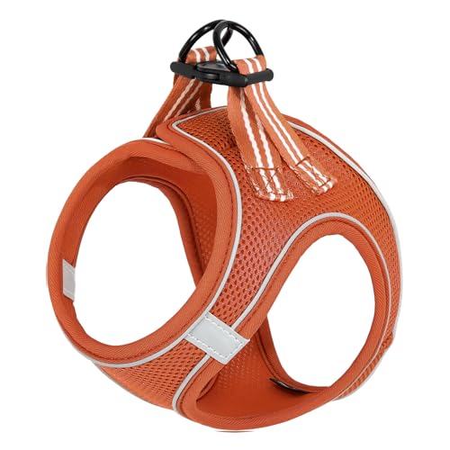 HEELE Geschirr Hund Klein Weich Hunde Geschirr Air Mesh Verstellbar Sicher Kontrolle Welpengeschirr Weste Hunde Brustgeschirr für Gehen, Laufen, Training, Reflektierend, Orange, XS HEELE Geschirr Hund Klein Weich Hunde Geschirr Air Mesh Verstellbar Sicher Kontrolle Welpengeschirr Weste Hunde Brustgeschirr für Gehen, Laufen, Training, Reflektierend, Orange, XS von HEELE