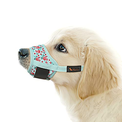 HEELE Hund Maulkorb, Maulkörb für Hunde, Weiche Nylon Drucken Maulkorb Air Mesh Atmungsaktiv Einstellbar Schleife Muster Haustiere Maulkörbe für Kleine Mittlere Große Hunde, Cyan Blume, XS HEELE Hund Maulkorb, Maulkörb für Hunde, Weiche Nylon Drucken Maulkorb Air Mesh Atmungsaktiv Einstellbar Schleife Muster Haustiere Maulkörbe für Kleine Mittlere Große Hunde, Cyan Blume, XS von HEELE