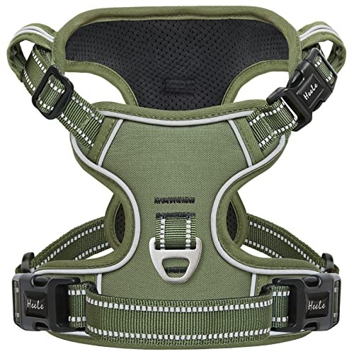 HEELE Hundegeschirr, Hundegeschirr für Grosse Hunde, Freigabe am Hals, Vorderseite Rückseite Clips Hundegeschirr Einstellbar Reflektierend Anti Zug Hundegeschirr mit Gepolstert Grifff, Grün, XL HEELE Hundegeschirr, Hundegeschirr für Grosse Hunde, Freigabe am Hals, Vorderseite Rückseite Clips Hundegeschirr Einstellbar Reflektierend Anti Zug Hundegeschirr mit Gepolstert Grifff, Grün, XL von HEELE