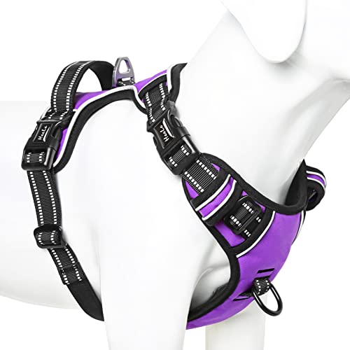 HEELE Hundegeschirr ohne Zug, Brustgeschirr für große Hund, einstellbares reflektierendes Hunde Geschirr, atmungsaktive Hundegeschirre mit gepolstertem Griff, No-Pull Dog Harness, Lila, XL HEELE Hundegeschirr ohne Zug, Brustgeschirr für große Hund, einstellbares reflektierendes Hunde Geschirr, atmungsaktive Hundegeschirre mit gepolstertem Griff, No-Pull Dog Harness, Lila, XL von HEELE