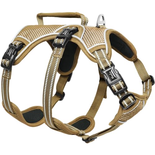HEELE Hundegeschirr, Ausbruchsicher, Schnalle im Halsbereich, Reflektierend, Brustgeschirr mit Robuster Griff, Panikgeschirr Hund, Hundegeschirr Stabilen Eindruck, Passt wie Angegossen, Braun, M HEELE Hundegeschirr, Ausbruchsicher, Schnalle im Halsbereich, Reflektierend, Brustgeschirr mit Robuster Griff, Panikgeschirr Hund, Hundegeschirr Stabilen Eindruck, Passt wie Angegossen, Braun, M von HEELE