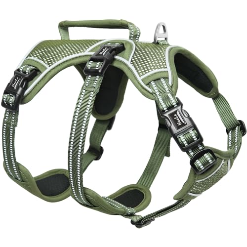 HEELE Hundegeschirr, Ausbruchsicher, Schnalle im Halsbereich, Reflektierend, Brustgeschirr mit Robuster Griff, Panikgeschirr Hund, Hundegeschirr Stabilen Eindruck, Passt wie Angegossen, Grün, XL HEELE Hundegeschirr, Ausbruchsicher, Schnalle im Halsbereich, Reflektierend, Brustgeschirr mit Robuster Griff, Panikgeschirr Hund, Hundegeschirr Stabilen Eindruck, Passt wie Angegossen, Grün, XL von HEELE