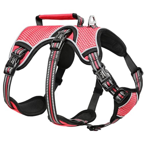 HEELE Hundegeschirr, Ausbruchsicher, Schnalle im Halsbereich, Reflektierend, Brustgeschirr mit Robuster Griff, Panikgeschirr Hund, Hundegeschirr Stabilen Eindruck, Passt wie Angegossen, Rot, XL HEELE Hundegeschirr, Ausbruchsicher, Schnalle im Halsbereich, Reflektierend, Brustgeschirr mit Robuster Griff, Panikgeschirr Hund, Hundegeschirr Stabilen Eindruck, Passt wie Angegossen, Rot, XL von HEELE