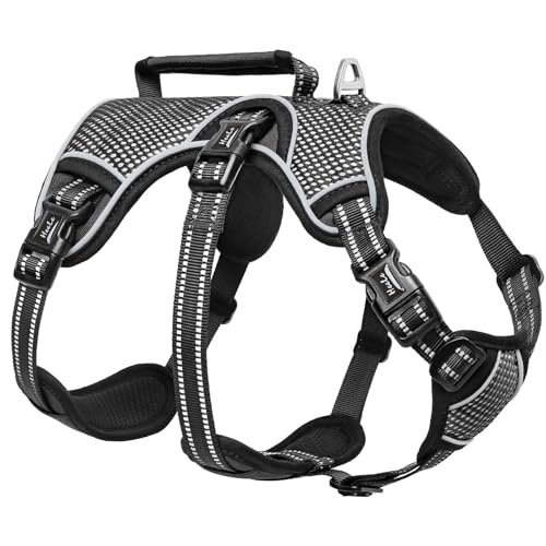 HEELE Hundegeschirr, Ausbruchsicher, Schnalle im Halsbereich, Reflektierend, Brustgeschirr mit Robuster Griff, Panikgeschirr Hund, Hundegeschirr Stabilen Eindruck, Passt wie Angegossen, Schwarz, L HEELE Hundegeschirr, Ausbruchsicher, Schnalle im Halsbereich, Reflektierend, Brustgeschirr mit Robuster Griff, Panikgeschirr Hund, Hundegeschirr Stabilen Eindruck, Passt wie Angegossen, Schwarz, L von HEELE