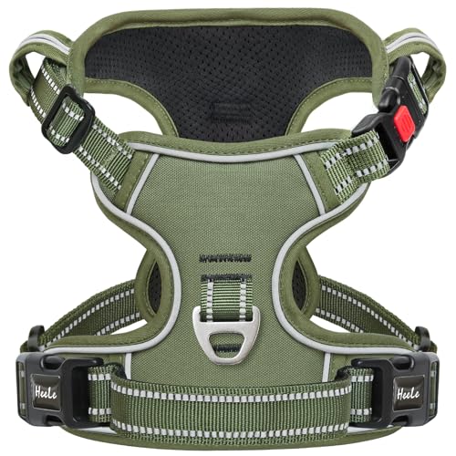 HEELE Hundegeschirr, Brustgeschirre für Hunde, Laufgeschirre Hund mit abschließbarem Schnappverschluss, einstellbare reflektierende Hundegeschirre, Offen am Hals, Anti Zug Dog Harness, Grün, XL HEELE Hundegeschirr, Brustgeschirre für Hunde, Laufgeschirre Hund mit abschließbarem Schnappverschluss, einstellbare reflektierende Hundegeschirre, Offen am Hals, Anti Zug Dog Harness, Grün, XL von HEELE