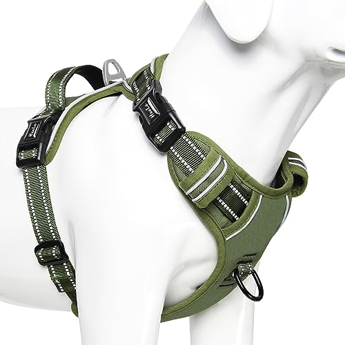 HEELE Hundegeschirr, Hundegeschirr für Grosse Hunde, Freigabe am Hals, Vorderseite Rückseite Clips Hundegeschirr Einstellbar Reflektierend Anti Zug Hundegeschirr mit Gepolstert Grifff, Grün, L HEELE Hundegeschirr, Hundegeschirr für Grosse Hunde, Freigabe am Hals, Vorderseite Rückseite Clips Hundegeschirr Einstellbar Reflektierend Anti Zug Hundegeschirr mit Gepolstert Grifff, Grün, L von HEELE