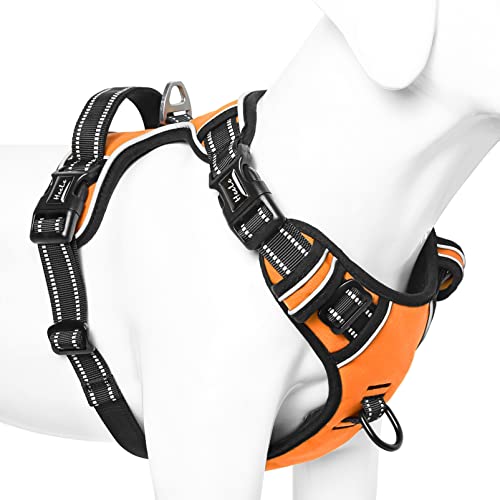 HEELE Hundegeschirr ohne Zug, Brustgeschirr für große Hund, einstellbares reflektierendes Hunde Geschirr, atmungsaktive Hundegeschirre mit gepolstertem Griff, No-Pull Dog Harness, Orange, L HEELE Hundegeschirr ohne Zug, Brustgeschirr für große Hund, einstellbares reflektierendes Hunde Geschirr, atmungsaktive Hundegeschirre mit gepolstertem Griff, No-Pull Dog Harness, Orange, L von HEELE