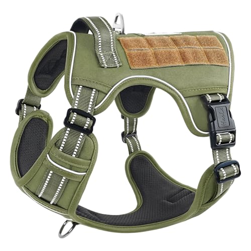 HEELE Hundegeschirr, Metall Taktisches Geschirr, Taktische Hundeweste, Service Hundegeschirr, MOLLE Sicherheitsgeschirr, Brustgeschirre für Hunde, Laufgeschirre für Hunde, Armee Grün, M HEELE Hundegeschirr, Metall Taktisches Geschirr, Taktische Hundeweste, Service Hundegeschirr, MOLLE Sicherheitsgeschirr, Brustgeschirre für Hunde, Laufgeschirre für Hunde, Armee Grün, M von HEELE