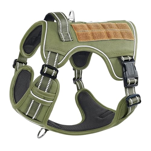 HEELE Hundegeschirr, Metall Taktisches Geschirr, Taktische Hundeweste, Service Hundegeschirr, MOLLE Sicherheitsgeschirr, Brustgeschirre für Hunde, Laufgeschirre für Hunde, Armee Grün, S HEELE Hundegeschirr, Metall Taktisches Geschirr, Taktische Hundeweste, Service Hundegeschirr, MOLLE Sicherheitsgeschirr, Brustgeschirre für Hunde, Laufgeschirre für Hunde, Armee Grün, S von HEELE