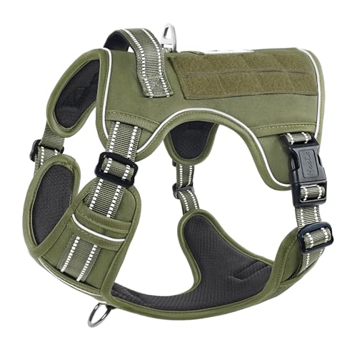 HEELE Hundegeschirr, Metall Taktisches Geschirr, Taktische Hundeweste, Service Hundegeschirr, MOLLE Sicherheitsgeschirr, Brustgeschirre für Hunde, Laufgeschirre für Hunde, Grün, M HEELE Hundegeschirr, Metall Taktisches Geschirr, Taktische Hundeweste, Service Hundegeschirr, MOLLE Sicherheitsgeschirr, Brustgeschirre für Hunde, Laufgeschirre für Hunde, Grün, M von HEELE