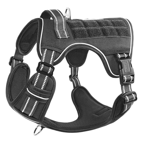 HEELE Hundegeschirr, Metall Taktisches Geschirr, Taktische Hundeweste, Service Hundegeschirr, MOLLE Sicherheitsgeschirr, Brustgeschirre für Hunde, Laufgeschirre für Hunde, Schwarz, S HEELE Hundegeschirr, Metall Taktisches Geschirr, Taktische Hundeweste, Service Hundegeschirr, MOLLE Sicherheitsgeschirr, Brustgeschirre für Hunde, Laufgeschirre für Hunde, Schwarz, S von HEELE