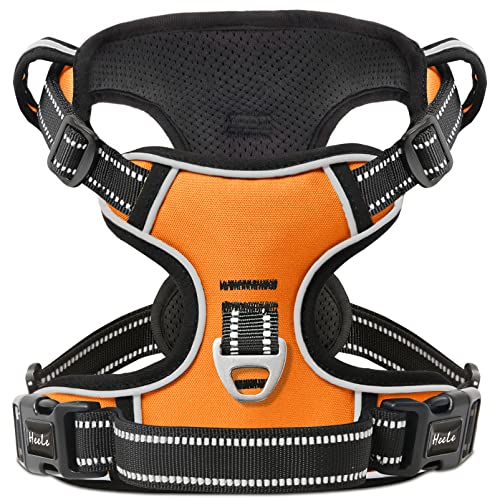 HEELE Hundegeschirr, No-Pull Hundegeschirr, Brustgeschirr für Mittelgroße Hunde, Weich Atmungsaktiv Einstellbar Reflektierend Hundegeschirr Anti Zug mit Gepolstert Griff, Orange, M HEELE Hundegeschirr, No-Pull Hundegeschirr, Brustgeschirr für Mittelgroße Hunde, Weich Atmungsaktiv Einstellbar Reflektierend Hundegeschirr Anti Zug mit Gepolstert Griff, Orange, M von HEELE