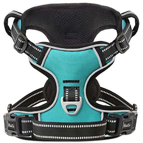 HEELE Hundegeschirr, No-Pull Hundegeschirr, Brustgeschirr für Mittelgroße Hunde, Weich Atmungsaktiv Einstellbar Reflektierend Hundegeschirr Anti Zug mit Gepolstert Griff, Türkis, XS HEELE Hundegeschirr, No-Pull Hundegeschirr, Brustgeschirr für Mittelgroße Hunde, Weich Atmungsaktiv Einstellbar Reflektierend Hundegeschirr Anti Zug mit Gepolstert Griff, Türkis, XS von HEELE