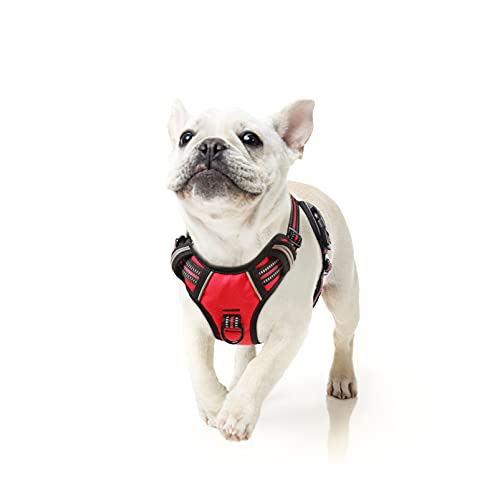 HEELE Hundegeschirr, No-Pull Hundegeschirr, Brustgeschirr für Mittelgroße Hunde, Weich Atmungsaktiv Einstellbar Reflektierend Hundegeschirr Anti Zug mit Gepolstert Griff, Rot, S HEELE Hundegeschirr, No-Pull Hundegeschirr, Brustgeschirr für Mittelgroße Hunde, Weich Atmungsaktiv Einstellbar Reflektierend Hundegeschirr Anti Zug mit Gepolstert Griff, Rot, S von HEELE