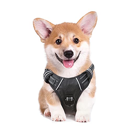 HEELE Hundegeschirr, No-Pull Hundegeschirr, Brustgeschirr für Mittelgroße Hunde, Weich Atmungsaktiv Einstellbar Reflektierend Hundegeschirr Anti Zug mit Gepolstert Griff, Schwarz, M HEELE Hundegeschirr, No-Pull Hundegeschirr, Brustgeschirr für Mittelgroße Hunde, Weich Atmungsaktiv Einstellbar Reflektierend Hundegeschirr Anti Zug mit Gepolstert Griff, Schwarz, M von HEELE