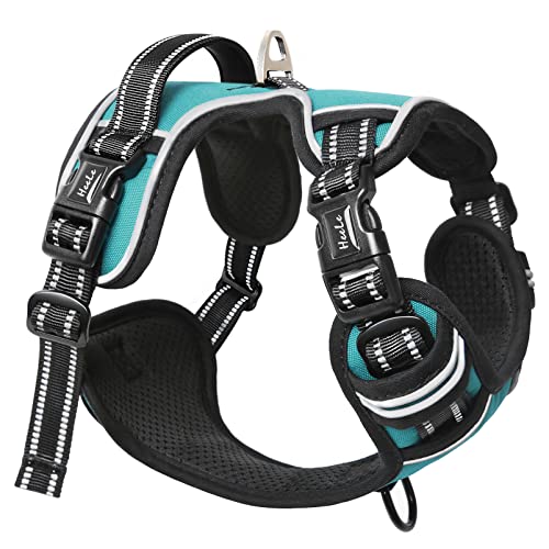 HEELE Hundegeschirr ohne Zug, Brustgeschirr für große Hund, einstellbares reflektierendes Hunde Geschirr, atmungsaktive Hundegeschirre mit gepolstertem Griff, No-Pull Dog Harness, Türkis, L HEELE Hundegeschirr ohne Zug, Brustgeschirr für große Hund, einstellbares reflektierendes Hunde Geschirr, atmungsaktive Hundegeschirre mit gepolstertem Griff, No-Pull Dog Harness, Türkis, L von HEELE