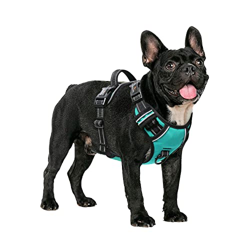 HEELE Hundegeschirr ohne Zug, Brustgeschirr für mittel Hund, einstellbares reflektierendes Hunde Geschirr, atmungsaktive Hundegeschirre mit gepolstertem Griff, No-Pull Dog Harness, Türkis, M HEELE Hundegeschirr ohne Zug, Brustgeschirr für mittel Hund, einstellbares reflektierendes Hunde Geschirr, atmungsaktive Hundegeschirre mit gepolstertem Griff, No-Pull Dog Harness, Türkis, M von HEELE