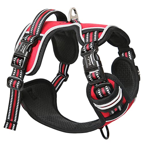 HEELE Hundegeschirr ohne Zug, Brustgeschirr für große Hund, einstellbares reflektierendes Hunde Geschirr, atmungsaktive Hundegeschirre mit gepolstertem Griff, No-Pull Dog Harness, Rot, L HEELE Hundegeschirr ohne Zug, Brustgeschirr für große Hund, einstellbares reflektierendes Hunde Geschirr, atmungsaktive Hundegeschirre mit gepolstertem Griff, No-Pull Dog Harness, Rot, L von HEELE