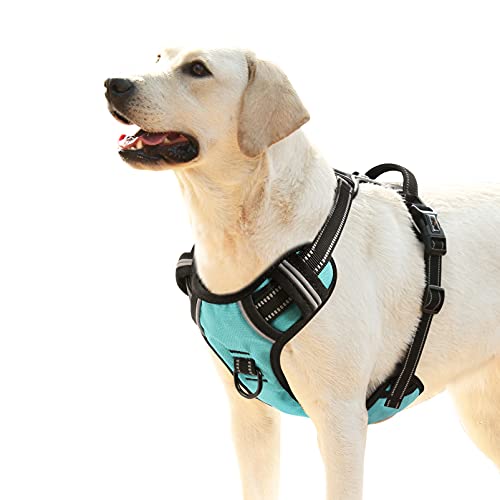 HEELE Hundegeschirr, No-Pull Hundegeschirr, Brustgeschirr für Mittelgroße Hunde, Weich Atmungsaktiv Einstellbar Reflektierend Hundegeschirr Anti Zug mit Gepolstert Griff, Türkis, XL HEELE Hundegeschirr, No-Pull Hundegeschirr, Brustgeschirr für Mittelgroße Hunde, Weich Atmungsaktiv Einstellbar Reflektierend Hundegeschirr Anti Zug mit Gepolstert Griff, Türkis, XL von HEELE