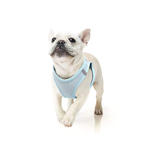 HEELE Hundegeschirr Hunde Kleine Hundegeschirr Anti Zug Atmungsaktiv Brustgeschirr No Pull Sicherheitsgeschirr Reflektierend Einstellbar Weich für Kleine Hunde Gehen Laufen Training, Blau, L HEELE Hundegeschirr Hunde Kleine Hundegeschirr Anti Zug Atmungsaktiv Brustgeschirr No Pull Sicherheitsgeschirr Reflektierend Einstellbar Weich für Kleine Hunde Gehen Laufen Training, Blau, L von HEELE