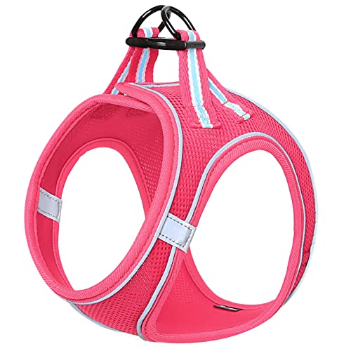 HEELE Hundegeschirr Hunde Kleine Hundegeschirr Anti Zug Atmungsaktiv Brustgeschirr No Pull Sicherheitsgeschirr Reflektierend Einstellbar Weich für Kleine Hunde Gehen Laufen Training, Rosenrot, L HEELE Hundegeschirr Hunde Kleine Hundegeschirr Anti Zug Atmungsaktiv Brustgeschirr No Pull Sicherheitsgeschirr Reflektierend Einstellbar Weich für Kleine Hunde Gehen Laufen Training, Rosenrot, L von HEELE