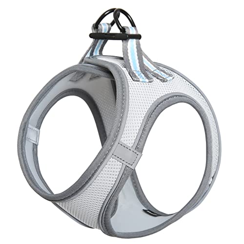 HEELE Hundegeschirr für Hunde Geschirr Hund Klein Weich Mesh Brustgeschirr für Mittlere und Kleine Hunde, Verstellbare Reflektierende Atmungsaktive Welpengeschirr, Reflektierend, Grau, 2XS HEELE Hundegeschirr für Hunde Geschirr Hund Klein Weich Mesh Brustgeschirr für Mittlere und Kleine Hunde, Verstellbare Reflektierende Atmungsaktive Welpengeschirr, Reflektierend, Grau, 2XS von HEELE