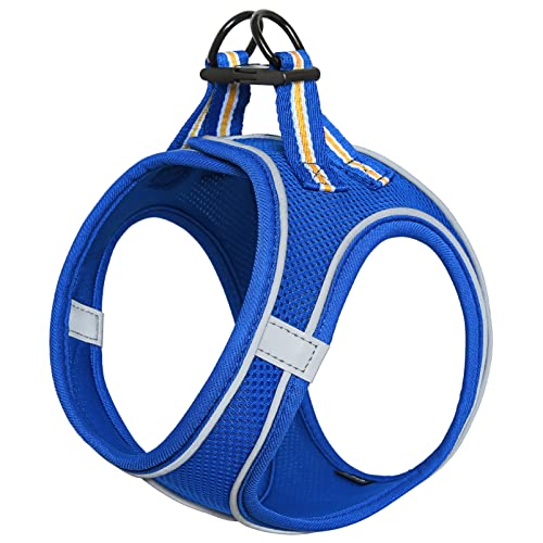 HEELE Hundegeschirr für Hunde Geschirr Hund Klein Weich Mesh Brustgeschirr für Mittlere und Kleine Hunde, Verstellbare Reflektierende Atmungsaktive Welpengeschirr, Reflektierend, Rot, 2XS HEELE Hundegeschirr für Hunde Geschirr Hund Klein Weich Mesh Brustgeschirr für Mittlere und Kleine Hunde, Verstellbare Reflektierende Atmungsaktive Welpengeschirr, Reflektierend, Rot, 2XS von HEELE