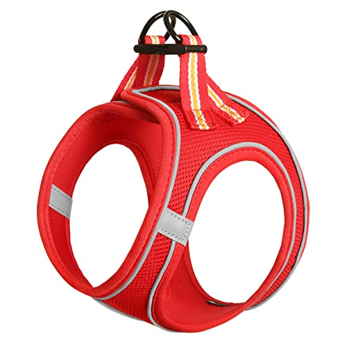 HEELE Hundegeschirr für Hunde Geschirr Hund Klein Weich Mesh Brustgeschirr für Mittlere und Kleine Hunde, Verstellbare Reflektierende Atmungsaktive Welpengeschirr, Reflektierend, Rot, 2XS HEELE Hundegeschirr für Hunde Geschirr Hund Klein Weich Mesh Brustgeschirr für Mittlere und Kleine Hunde, Verstellbare Reflektierende Atmungsaktive Welpengeschirr, Reflektierend, Rot, 2XS von HEELE