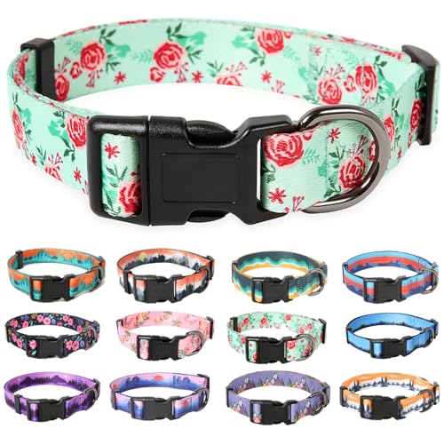 HEELE Hundehalsband, Hunde Halsband für Welpen Kleine Mittlere Große Hunde, Gemustertes Hundehalsbänder Verstellbares, Komfort, Robustem HundeHalsband, Cyan Blume, XS HEELE Hundehalsband, Hunde Halsband für Welpen Kleine Mittlere Große Hunde, Gemustertes Hundehalsbänder Verstellbares, Komfort, Robustem HundeHalsband, Cyan Blume, XS von HEELE