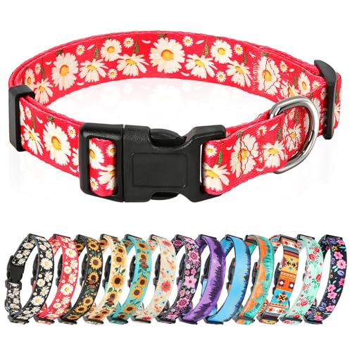 HEELE Hundehalsband, Hunde Halsband für Welpen Kleine Mittlere Große Hunde, Gemustertes Hundehalsbänder Verstellbares, Komfort, Robustem HundeHalsband, Gänseblümchen Rot, M von HEELE