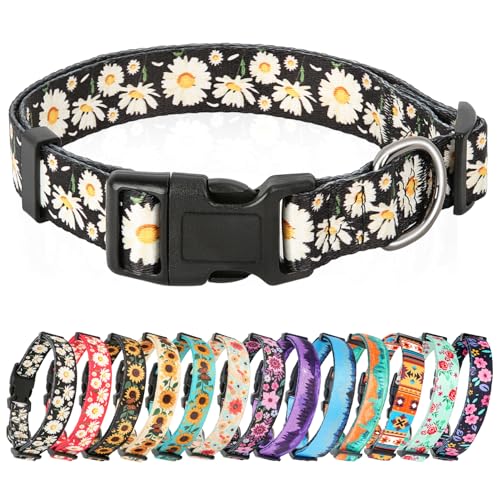 HEELE Hundehalsband, Hunde Halsband für Welpen Kleine Mittlere Große Hunde, Gemustertes Hundehalsbänder Verstellbares, Komfort, Robustem HundeHalsband, Gänseblümchen Schwarz, S HEELE Hundehalsband, Hunde Halsband für Welpen Kleine Mittlere Große Hunde, Gemustertes Hundehalsbänder Verstellbares, Komfort, Robustem HundeHalsband, Gänseblümchen Schwarz, S von HEELE