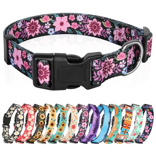 HEELE Hundehalsband, Hunde Halsband für Welpen Kleine Mittlere Große Hunde, Gemustertes Hundehalsbänder Verstellbares, Komfort, Robustem HundeHalsband, Galsang Schwarz, S HEELE Hundehalsband, Hunde Halsband für Welpen Kleine Mittlere Große Hunde, Gemustertes Hundehalsbänder Verstellbares, Komfort, Robustem HundeHalsband, Galsang Schwarz, S von HEELE