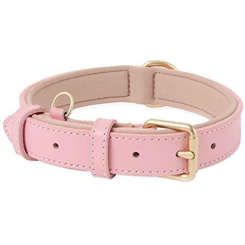 HEELE Hundehalsband, Hundehalsband Leder Hundehalsband mit gepolstert und echtes Leder, Verstellbar, Halsband für Welpen Kleine Hunde, Rosa, S von HEELE