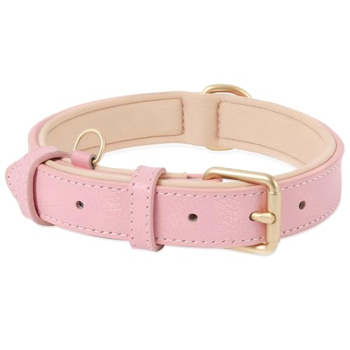 HEELE Hundehalsband Leder Hundehalsband mit gepolstert und echtes Leder, Verstellbar, Halsband für Welpen Kleine Hunde, Rosa, XS HEELE Hundehalsband Leder Hundehalsband mit gepolstert und echtes Leder, Verstellbar, Halsband für Welpen Kleine Hunde, Rosa, XS von HEELE