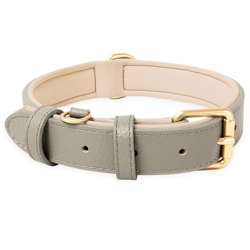 HEELE Hundehalsband, Hundehalsband Leder Hundehalsband mit gepolstert und echtes Leder, Verstellbar, Halsband für Welpen Kleine Mittel Große Hunde, Neu-Grau, S von HEELE