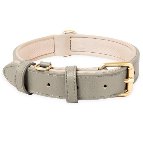 HEELE Hundehalsband Leder Hundehalsband mit gepolstert und echtes Leder, Verstellbar, Halsband für Welpen Kleine Mittel Große Hunde, Neu-Grau, XS HEELE Hundehalsband Leder Hundehalsband mit gepolstert und echtes Leder, Verstellbar, Halsband für Welpen Kleine Mittel Große Hunde, Neu-Grau, XS von HEELE