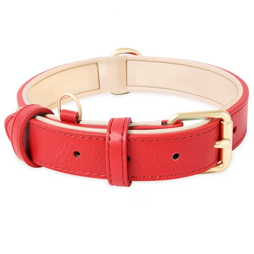 HEELE Hundehalsband Leder Hundehalsband mit gepolstert und echtes Leder, Verstellbar, Halsband für Welpen Kleine Mittel Große Hunde, Neu-Rot, M von HEELE